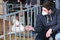 Besuch der Studierenden im Kälberstall des MGZ Triesdorf