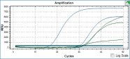 Typischer Verlauf von Ergebniskurven bei der Real-Time-PCR