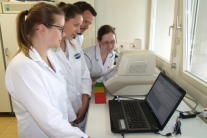 Auswertung eines PCR-Laufes durch die Studierenden